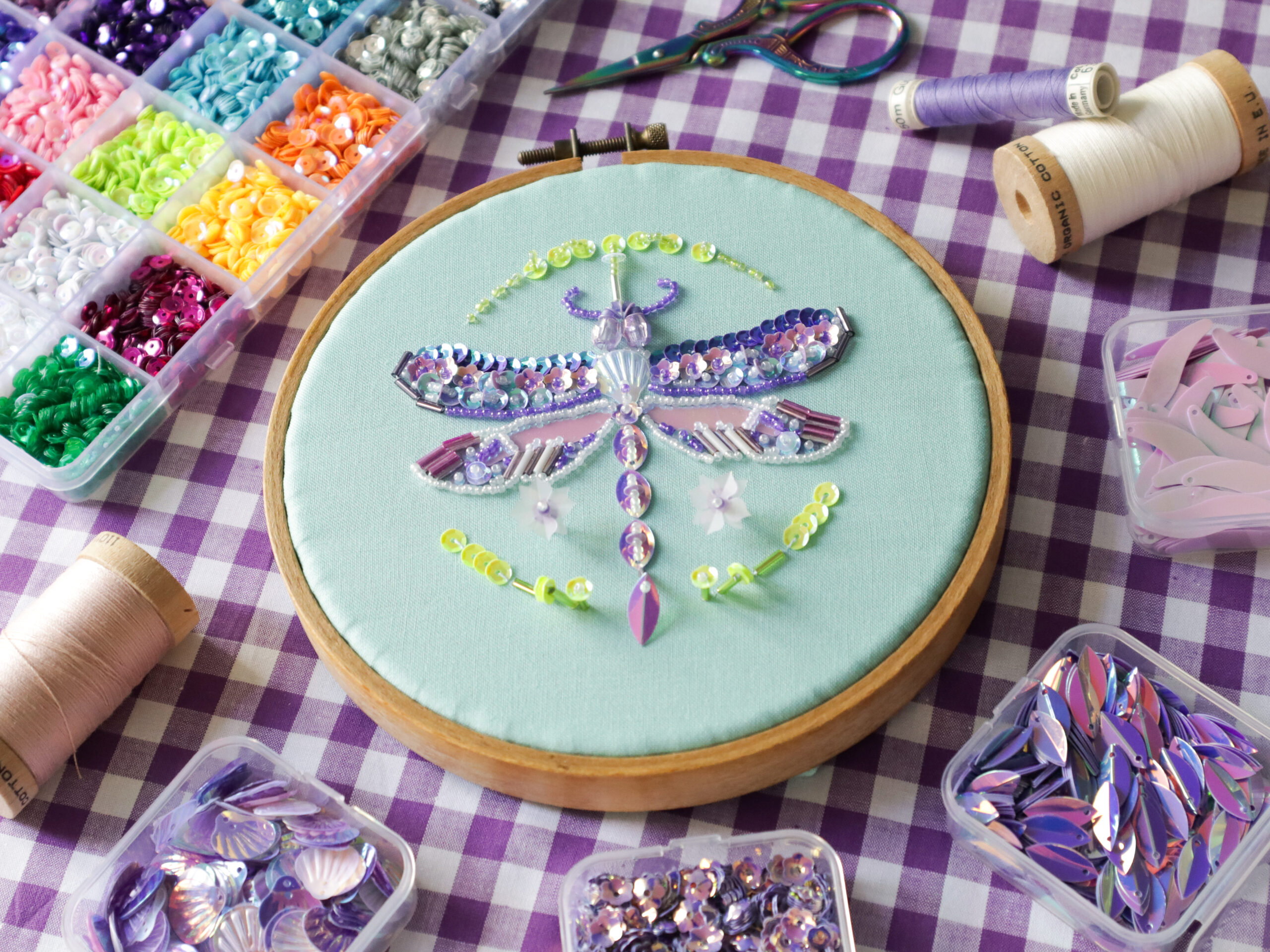Protected: The Iridescent Dragonfly
